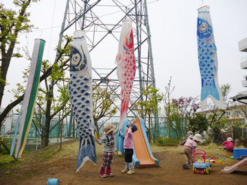 13園庭の大きなこいのぼりと